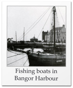 Fishing boats in Bangor Harbour